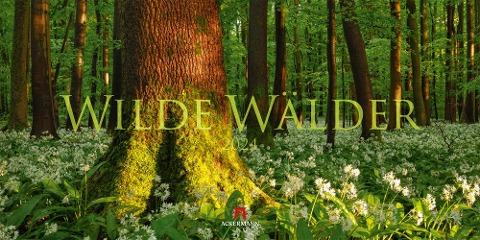 Wilde Wälder Kalender 2024