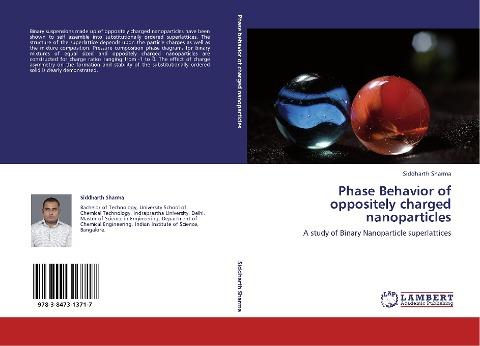 Phase Behavior of oppositely charged nanoparticles