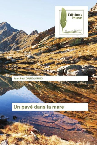 Un pavé dans la mare