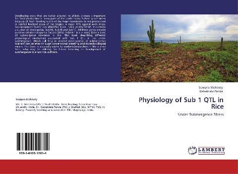 Physiology of Sub 1 QTL in Rice