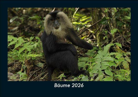 Bäume 2026 Fotokalender DIN A5