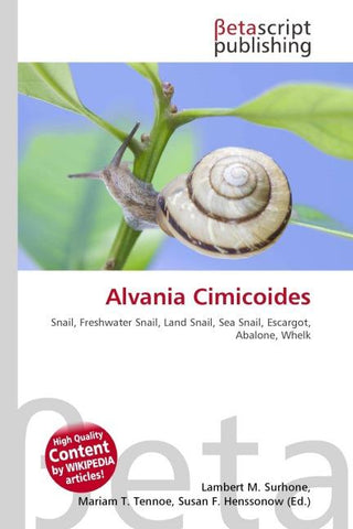 Alvania Cimicoides