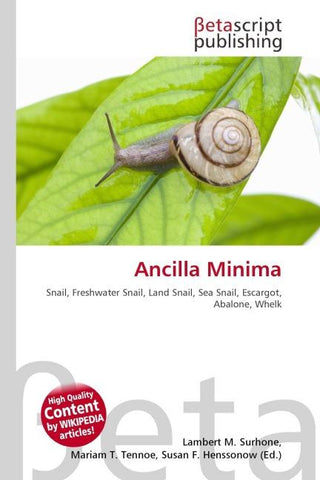 Ancilla Minima