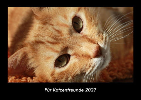 Für Katzenfreunde 2027 Fotokalender DIN A3