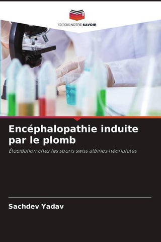 Encéphalopathie induite par le plomb