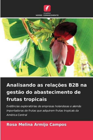 Analisando as relações B2B na gestão do abastecimento de frutas tropicais