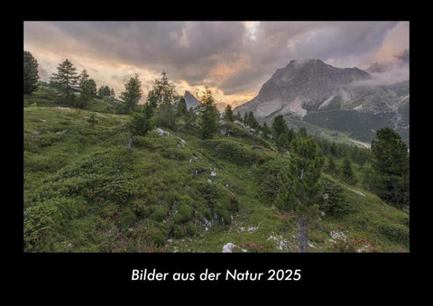 Bilder aus der Natur 2025 Fotokalender DIN A3