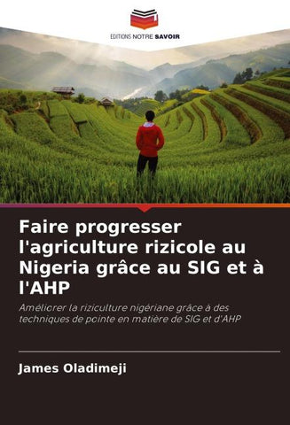 Faire progresser l'agriculture rizicole au Nigeria grâce au SIG et à l'AHP