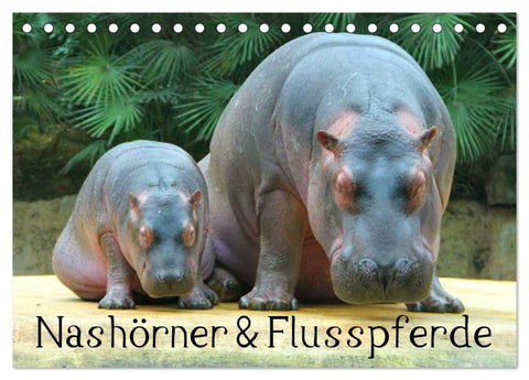Nashörner & Flusspferde (Tischkalender 2026 DIN A5 quer), CALVENDO Monatskalender
