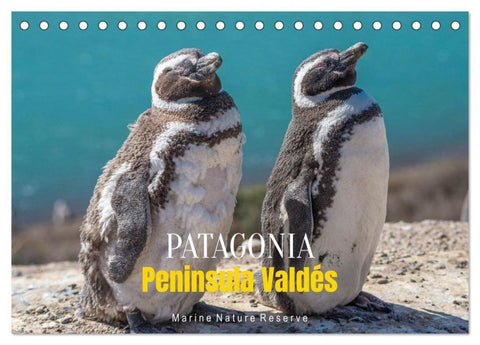 Patagonia, Peninsula Valdés - Marine Nature Reserve (Desk Calendar 2026 DIN A5 landscape), CALVENDO 12 Month DeskCalendar