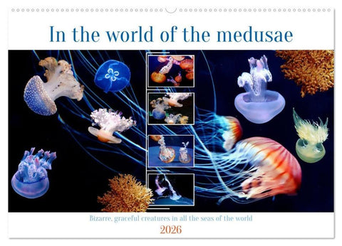 In the world of the medusae (Wall Calendar 2026 DIN A2 landscape), CALVENDO 12 Month Wall Calendar