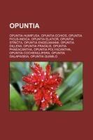 Opuntia