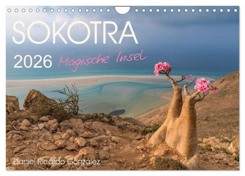 SOKOTRA - Magische Insel (Wandkalender 2026 DIN A4 quer), CALVENDO Monatskalender