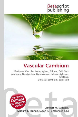 Vascular Cambium