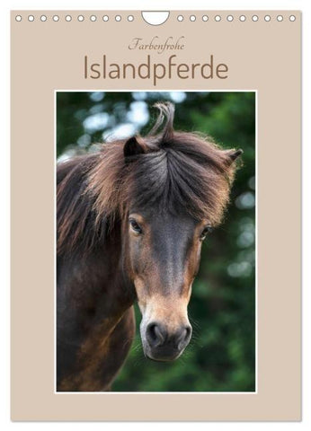 Farbenfrohe Islandpferde (Wandkalender 2026 DIN A4 hoch), CALVENDO Monatskalender