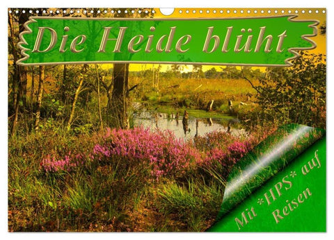 Die Heide blüht (Wandkalender 2026 DIN A3 quer), CALVENDO Monatskalender