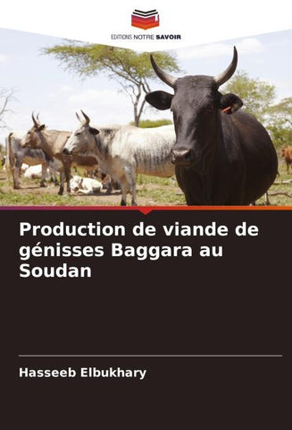 Production de viande de génisses Baggara au Soudan