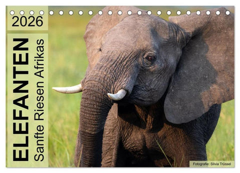 Elefanten - Sanfte Riesen Afrikas (Tischkalender 2026 DIN A5 quer), CALVENDO Monatskalender