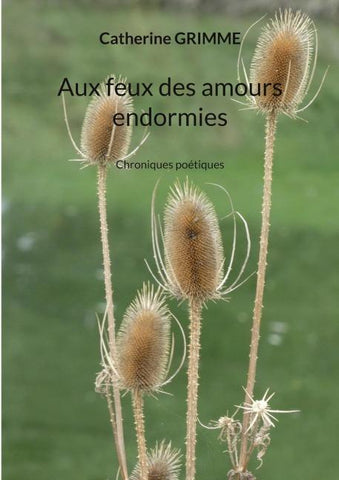 Aux feux des amours endormies