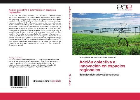 Acción colectiva e innovación en espacios regionales