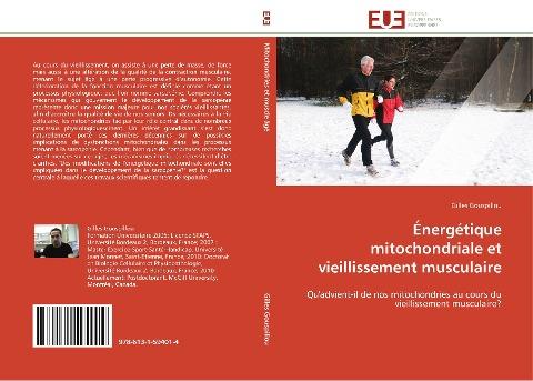 Énergétique mitochondriale et vieillissement musculaire