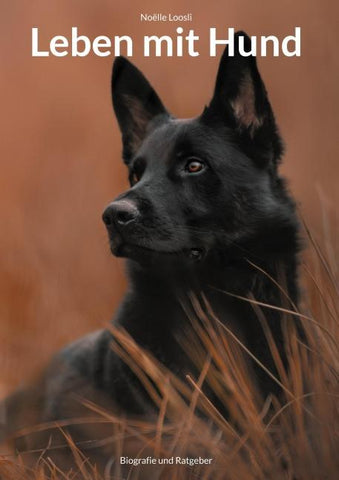 Leben mit Hund