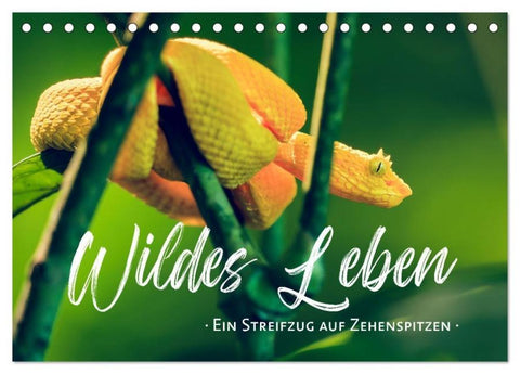 Wildes Leben - Ein Streifzug auf Zehenspitzen (Tischkalender 2026 DIN A5 quer), CALVENDO Monatskalender