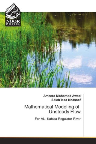 Mathematical Modeling of Unsteady Flow
