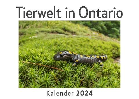 Tierwelt in Ontario (Wandkalender 2024, Kalender DIN A4 quer, Monatskalender im Querformat mit Kalendarium, Das perfekte Geschenk)
