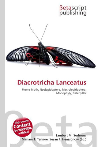 Diacrotricha Lanceatus