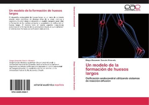 Un modelo de la formación de huesos largos