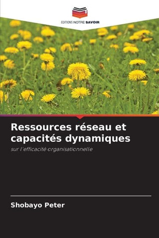 Ressources réseau et capacités dynamiques