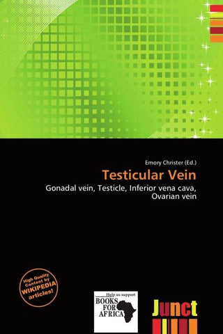 Testicular Vein