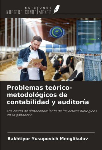 Problemas teórico-metodológicos de contabilidad y auditoría