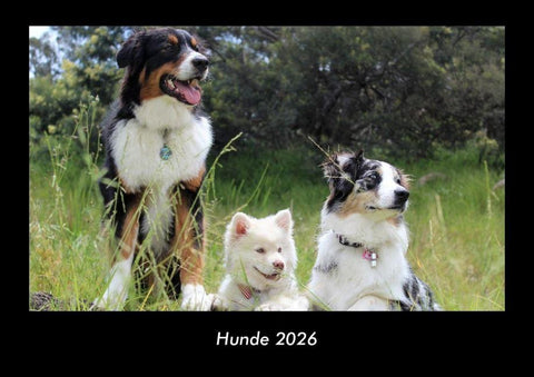 Hunde 2026 Fotokalender DIN A3