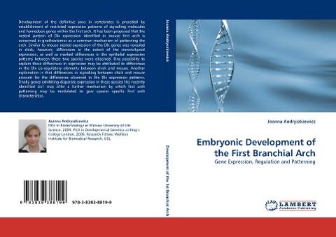 Embryonic Development of the First Branchial Arch