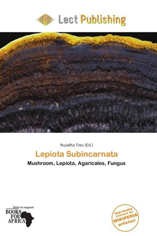 Lepiota Subincarnata