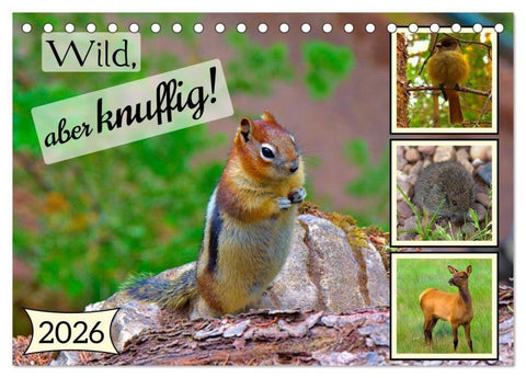 Wild, aber knuffig! (Tischkalender 2026 DIN A5 quer), CALVENDO Monatskalender