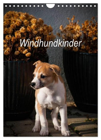 Windhundkinder (Wandkalender 2026 DIN A4 hoch), CALVENDO Monatskalender
