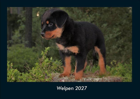 Welpen 2027 Fotokalender DIN A4