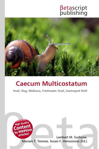 Caecum Multicostatum