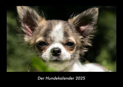 Der Hundekalender 2025 Fotokalender DIN A3
