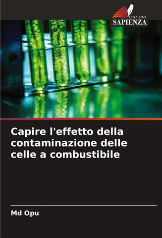 Capire l'effetto della contaminazione delle celle a combustibile