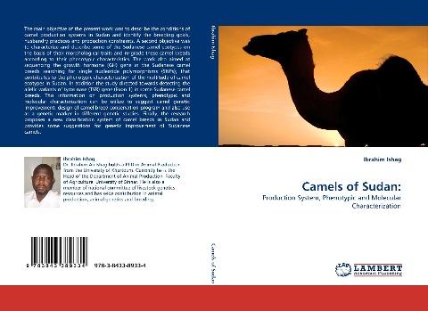 Camels of Sudan: