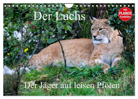 Der Luchs - Der Jäger auf leisen Pfoten (Wandkalender 2026 DIN A4 quer), CALVENDO Monatskalender