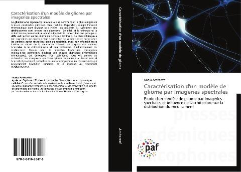Caractérisation d'un modèle de gliome par imageries spectrales