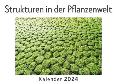 Strukturen in der Pflanzenwelt (Wandkalender 2024, Kalender DIN A4 quer, Monatskalender im Querformat mit Kalendarium, Das perfekte Geschenk)