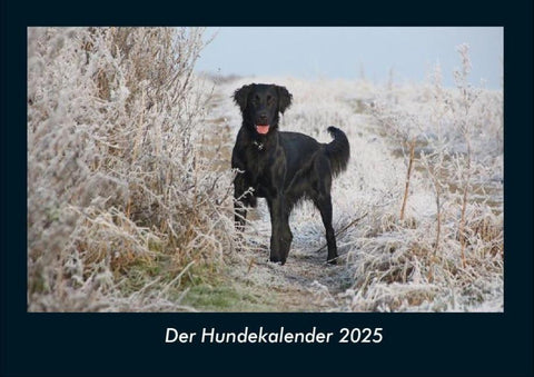 Der Hundekalender 2025 Fotokalender DIN A4