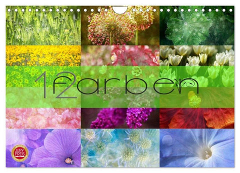 12 Farben (Wandkalender 2026 DIN A4 quer), CALVENDO Monatskalender