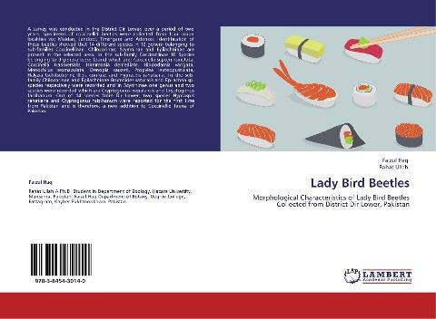 Lady Bird Beetles